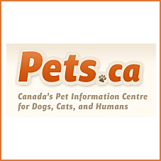 Pets.ca is Canada's source of info on dogs cats & other pets. We have a moderated free pet forum, pet podcasts, pet photos... Come & join!