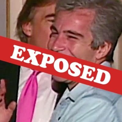 Epstein Network Exposed🚩 Profile