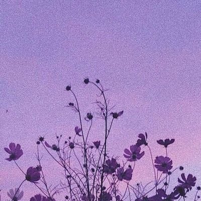 pepperlovee's profile picture. ✈️ || Truly pepper!🇰🇪