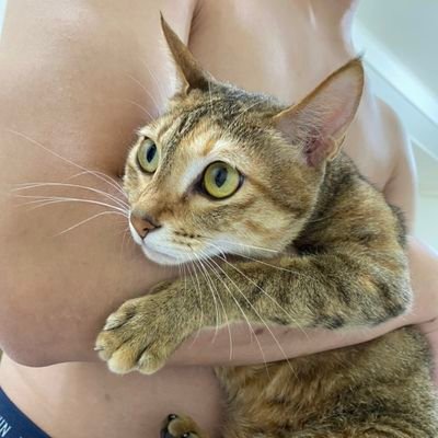 tonilee0402's profile picture. 