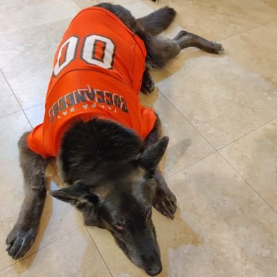 rtaylor190's profile picture. 