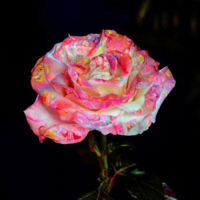 Oluwada03611183's profile picture. The wow is always constant