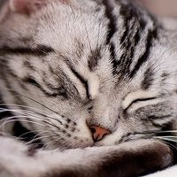 tori (@tori01497524) 's Twitter Profile Photo