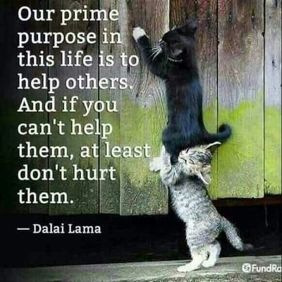 Being there for my loved ones, and always willing to put smiles and hope in people I come across