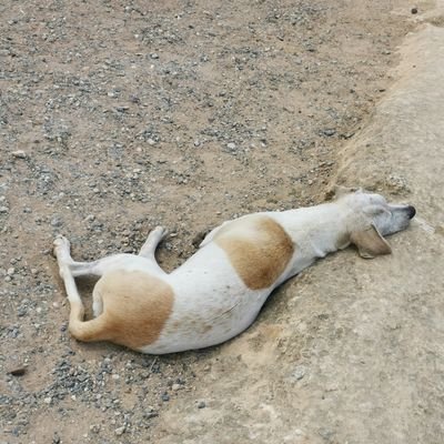 vegycslol's profile picture. Regular everyday normal guy