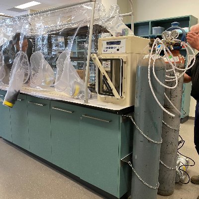 EGG_inthe_GAGL's profile picture. Environmental Geochemistry Group in the Geosciences Analytical Geochemistry Laboratory. The University of Sydney. Exploring the geochemistry of Earth.