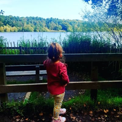 stcalin's profile picture. 