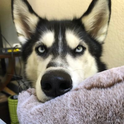 annex's profile picture. I'm no building.