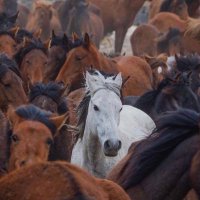 💙 (@iamxx18) 's Twitter Profile Photo