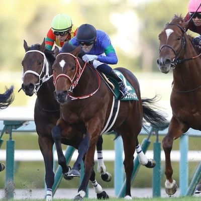 カープ、 競馬 、外飯大好き
カープは上本君、栗林君/
競馬は西山牧場、矢作厩舎、斎藤誠厩舎/藤岡佑介騎手、坂井瑠星騎手、荻野極騎手、藤田菜七子騎手、斎藤新騎手 応援/
外飯はスープカレー、フライドチキン大好き。😁