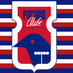 Paraná Clube (@paranaclube__) Twitter profile photo
