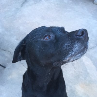 drop_matthew's profile picture. 