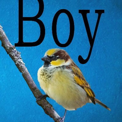 Anna Hamilton, retired restaurant owner, writer, builder of affordable homes in her community  'BOY' is my baby, a sweet little story about life.  Check it out.