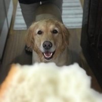Can Şentürk (@cantoniclemon) 's Twitter Profile