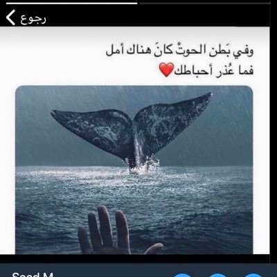 hlm272620249's profile picture. 