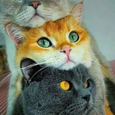 Gio53180301's profile picture. 