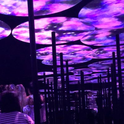 SyringaRubra's profile picture. アジアの蜘蛛たちに恋をしたHomo sp. 😉  結構軟骨魚類たちにも浮気します🦈