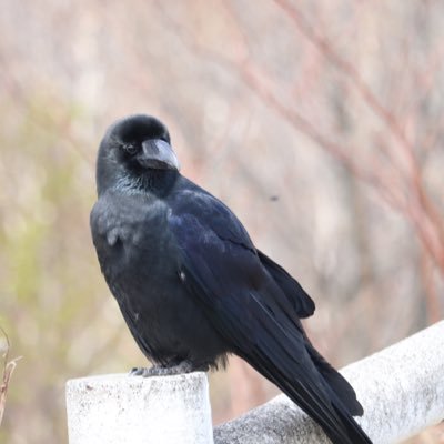 DCdp6EZE8FAbDCO's profile picture. 