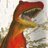 tombacon82's profile image