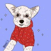 Spoonie & Dog Mom Blog (@spooniemomblog) 's Twitter Profile