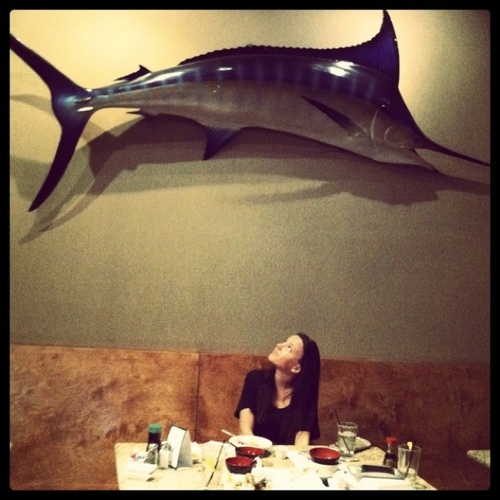 bdiane's profile picture. I like to eat with my hands and dip my food. You follow me, I follow Jesus. She/Her.  my tweets are my personal thoughts and feelings. 💍 @travisbhill5