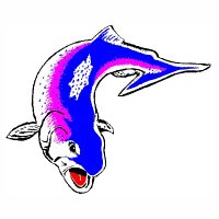 The Fishin' Hole (@thefishinholeca) 's Twitter Profile