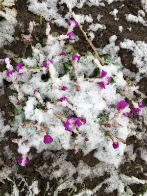 Люблю жизнь,природу и искренних людей🌺♥️