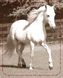 macteejay2's profile picture. Chilling in the hollow of His hands!!!