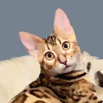 NoFishwyyyy's profile picture. 积极向上的鱼鱼