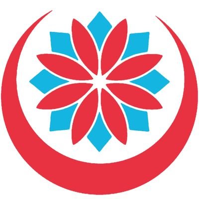 National Front Party/ Milli Cəbhə Partiyasının səhifəsi.