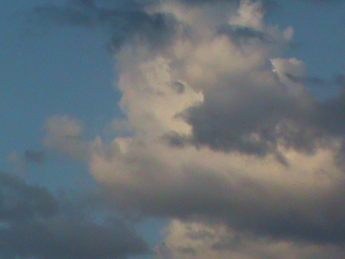 carlosmaluso's profile picture. me gusta el cine.