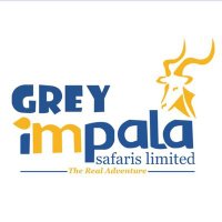 Grey Impala Safaris(@ImpalaGrey) 's Twitter Profile Photo