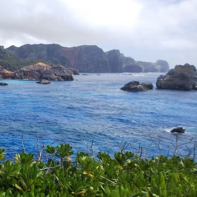 ringohoppehoppe's profile picture. 自分の人生を生きられるように。認定社会福祉士、精神保健福祉士、介護支援専門員。