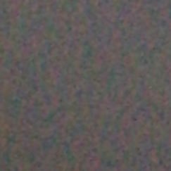 anonymoussss556's profile picture. 