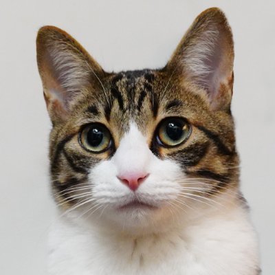 parka_rider's profile picture. 買ってから考えるというブログを細々と書いている人。
主にブログの更新通知
ND2ロードスター（2024）