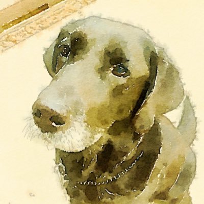 写真、動物、コーヒーが好きな狭く浅いオタクでロッテファン(3年目)。 何事も70%くらいを目指したい。アイコンは亡き愛犬。 (陰キャオタクなのにネットストーカー被害にあったので顔出ししません)