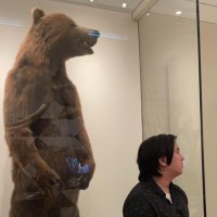 Nolan Nguyen (@nolan_patch) 's Twitter Profile
