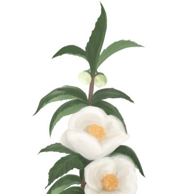 さむえいさんのプロフィール画像