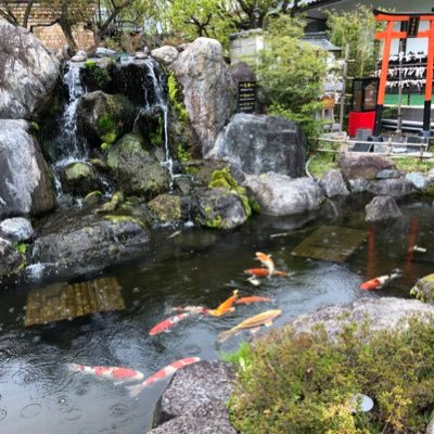 心綺楼さんのプロフィール画像