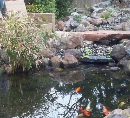 Bay Area Landscape Company specializing in construction & maintenance of custom, natural water features.
(650) 364-6253