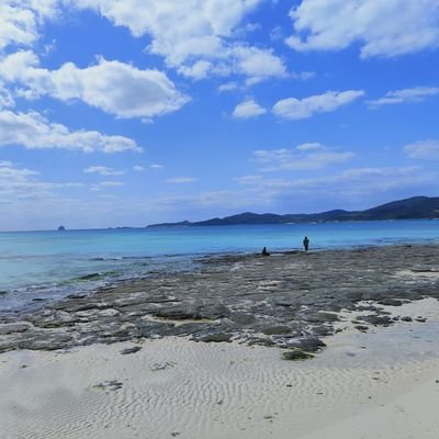 しまくとうぱ辞典 久米島町字儀間 しまくとうぱ辞典 久米島町字儀間 本