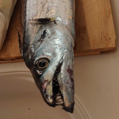 mcRaLwzzLXsHJ6L's profile picture. 釣りとお鮨が大好き✨　
最近はMリーグにはまっています（チーム雷電　黒沢プロ推し💓）