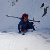 Lotti Egger (@lottiegger) 's Twitter Profile