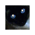 Raymond Lawrence - @wessadis - Twitter