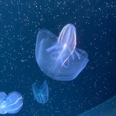 lee02833528's profile picture. 爱国者