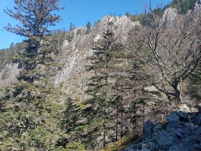 fjeanmi's profile picture. Frrrr 🇨🇵 

#patriote