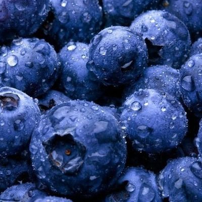 ChocolateMilkku's profile picture. 