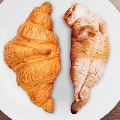 Catpickledick's profile picture. I love food and cats 🍕🍗🌭🍔🐱🐈💜