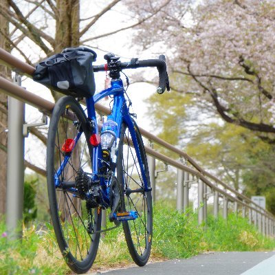 たびなつさんのプロフィール画像
