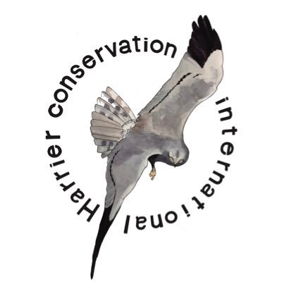 Harrier Conservation Int. is founded to protect harriers by researching them during the annual cycle. Tweets by @NatalinoFenech @demanopdedijk @elvirawerkman